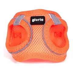 Упряжь для собак Gloria Air Mesh Trek Star Регулируемый Оранжевый Размер XXXS (18-20 cm) цена и информация | Ошейники, подтяжки для собак | pigu.lt