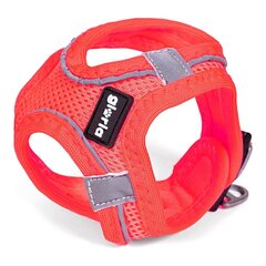 Упряжь для собак Gloria Air Mesh Trek Star Регулируемый Розовый Размер XXXS (18-20 cm) цена и информация | Ошейники, подтяжки для собак | pigu.lt