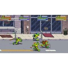 Dotemu Teenage Mutant Ninja Turtles: Shredder's Revenge kaina ir informacija | Kompiuteriniai žaidimai | pigu.lt