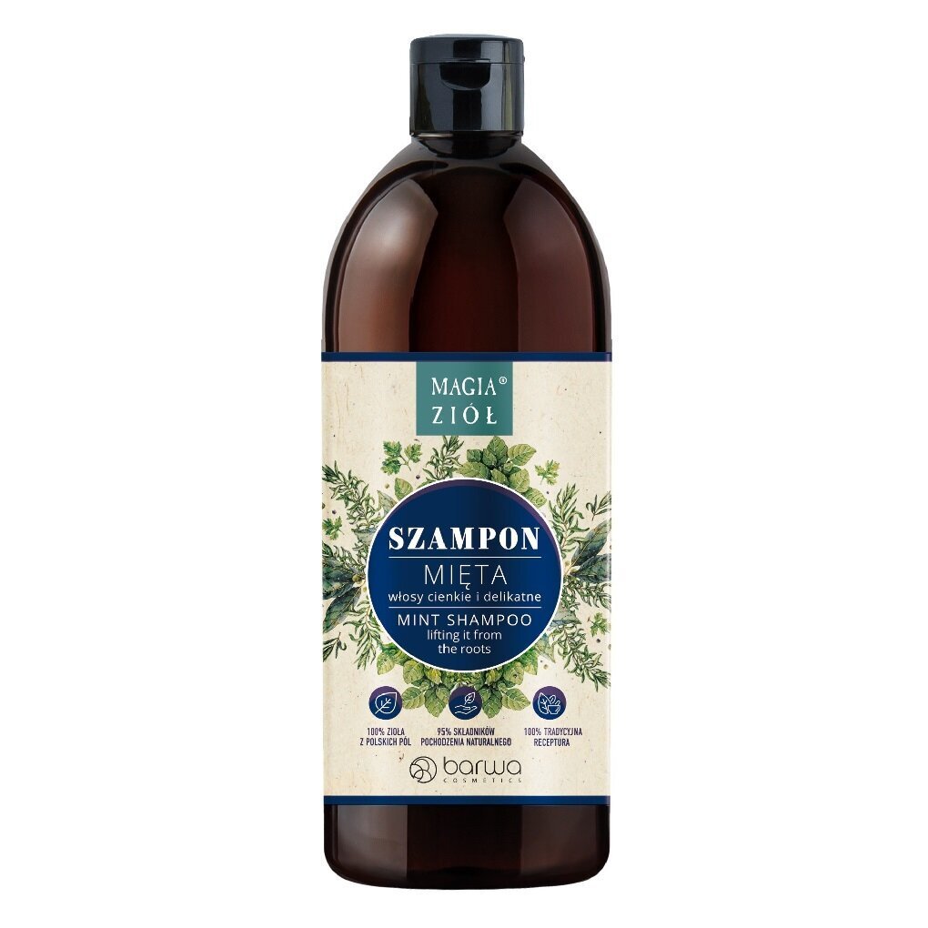 Plaukų šampūnas Barwa Magic of Herbs Mint, 450ml kaina ir informacija | Šampūnai | pigu.lt