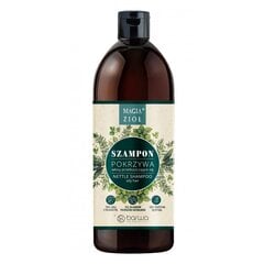 Dilgėlių plaukų šampūnas Barwa Magic of Herbs, 450ml kaina ir informacija | Šampūnai | pigu.lt