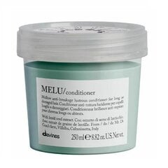 Кондиционер для длинных и поврежденных волос Davines Essential Haircare Melu, 250 мл цена и информация | Бальзамы, кондиционеры | pigu.lt