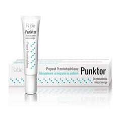 Maskavimo priemonė nuo spuogų Jadwiga Punktor Rable Spot, 15 ml kaina ir informacija | Makiažo pagrindai, pudros | pigu.lt