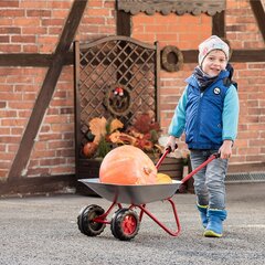 Vaikiškas karutis, pilkas kaina ir informacija | Vandens, smėlio ir paplūdimio žaislai | pigu.lt