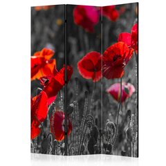 Pertvara - Red Poppies [Room Dividers] kaina ir informacija | Širmos, kambario pertvaros | pigu.lt