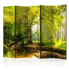 Pertvara - Forest Clearing II [Room Dividers] kaina ir informacija | Širmos, kambario pertvaros | pigu.lt