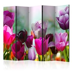 Pertvara - Beautiful Tulips II [Room Dividers] kaina ir informacija | Širmos, kambario pertvaros | pigu.lt