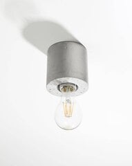 L8 lubinis šviestuvas Salgado цена и информация | Потолочные светильники | pigu.lt