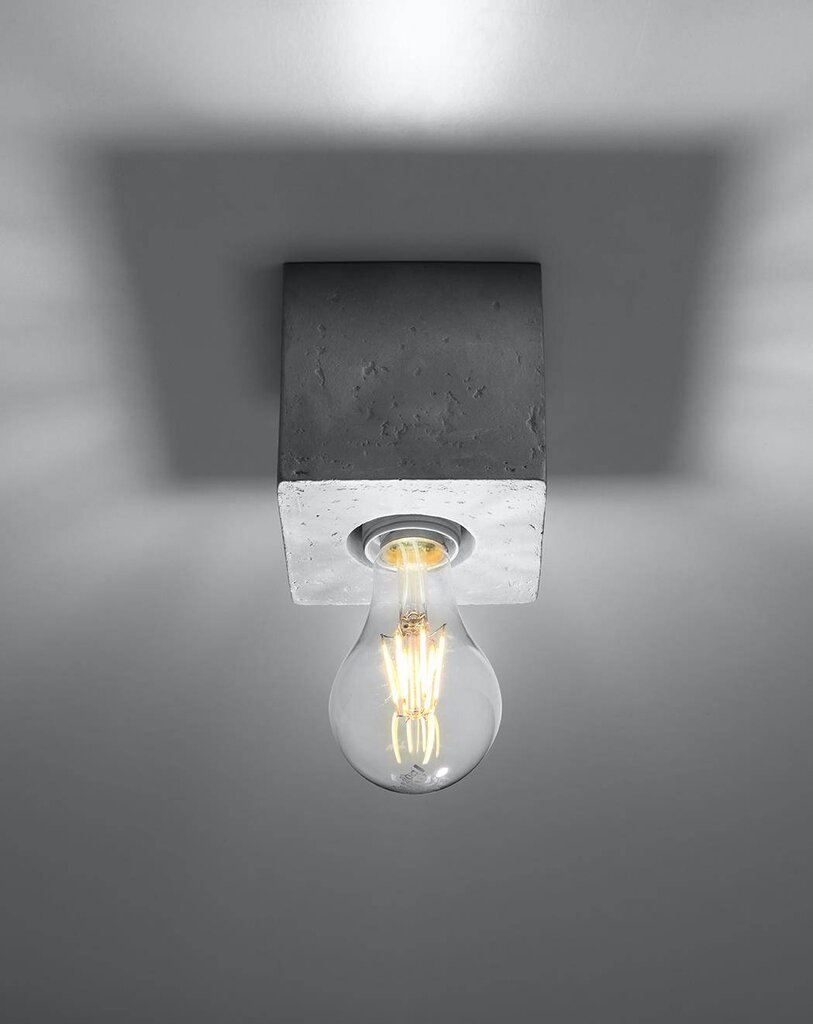 Lubinis šviestuvas Arizo kaina ir informacija | Lubiniai šviestuvai | pigu.lt