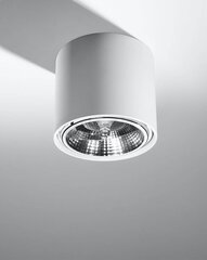 Tiube lubinis šviestuvas цена и информация | Потолочные светильники | pigu.lt
