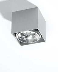 Потолочный светильник цена и информация | Потолочные светильники | pigu.lt