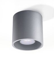 Потолочный светильник цена и информация | Потолочные светильники | pigu.lt