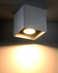 Lubinis šviestuvas Quad1 цена и информация | Потолочные светильники | pigu.lt