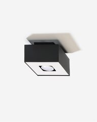 L8 lubinis šviestuvas Mono цена и информация | Потолочные светильники | pigu.lt
