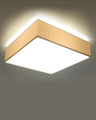Lubinis šviestuvas Horo, baltas цена и информация | Потолочные светильники | pigu.lt