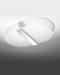 Salia lubinis šviestuvas цена и информация | Потолочные светильники | pigu.lt