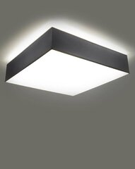 Lubinis šviestuvas Horo, pilkas цена и информация | Потолочные светильники | pigu.lt