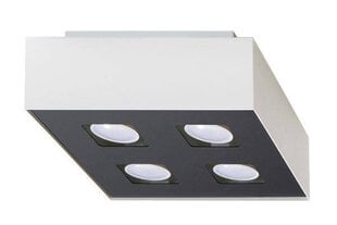 L8 lubinis šviestuvas Mono цена и информация | Потолочные светильники | pigu.lt