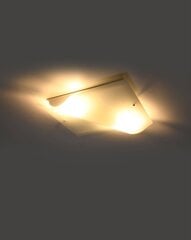 Lubinis šviestuvas burbulas цена и информация | Потолочные светильники | pigu.lt