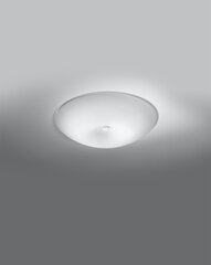 Fusion lubinis šviestuvas kaina ir informacija | Lubiniai šviestuvai | pigu.lt