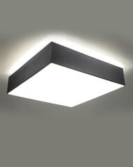 Lubinis šviestuvas Horo 45, pilkas цена и информация | Потолочные светильники | pigu.lt