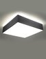 Lubinis šviestuvas Horo 45, pilkas kaina ir informacija | Lubiniai šviestuvai | pigu.lt