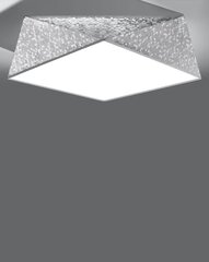 L8 lubinis šviestuvas Hexa цена и информация | Потолочные светильники | pigu.lt
