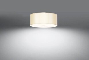 Lubinis šviestuvas Skala 30 цена и информация | Потолочные светильники | pigu.lt