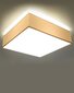 Lubinis šviestuvas Horo 45, baltas kaina ir informacija | Lubiniai šviestuvai | pigu.lt