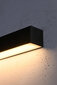 L8 sieninis šviestuvas Pinne 67 kaina ir informacija | Sieniniai šviestuvai | pigu.lt