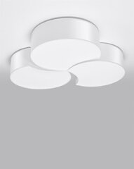 L8 lubinis šviestuvas Circle цена и информация | Потолочные светильники | pigu.lt