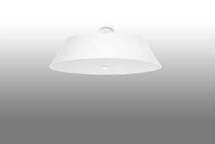 Lubinis šviestuvas vega 60 цена и информация | Потолочные светильники | pigu.lt