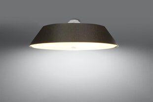 Lubinis šviestuvas vega 70 цена и информация | Потолочные светильники | pigu.lt