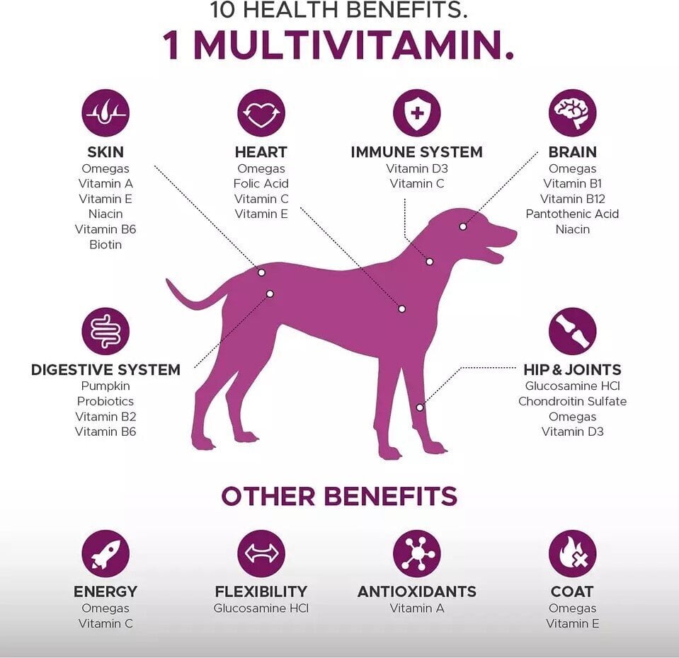 Cani Magnus papildai šunims- skanieji minkšti kramtukai 10 in 1 цена и информация | Vitaminai, papildai, antiparazitinės priemonės šunims | pigu.lt