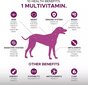 Cani Magnus papildai šunims- skanieji minkšti kramtukai 10 in 1 kaina ir informacija | Vitaminai, papildai, antiparazitinės priemonės šunims | pigu.lt
