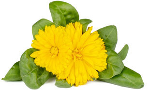 Click & Grow Smart Refill Бархатцы 3 шт. цена и информация | Семена цветов | pigu.lt
