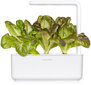 Raudonosios romaninės salotos Smart Garden Click & Grow Refill, 3 vnt цена и информация | Daržovių, uogų sėklos | pigu.lt