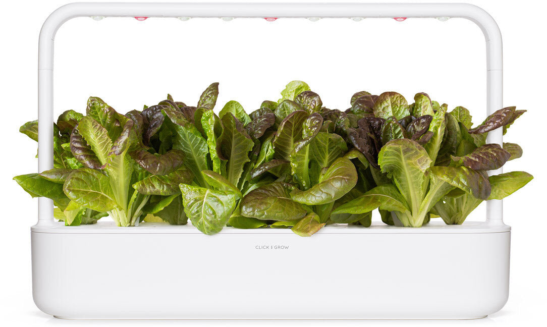 Raudonosios romaninės salotos Smart Garden Click & Grow Refill, 3 vnt цена и информация | Daržovių, uogų sėklos | pigu.lt