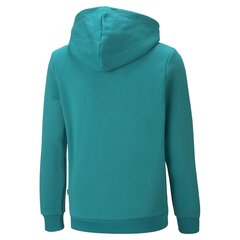 Детская толстовка Puma 586987*27, aqua/белая цена и информация | Свитеры, жилетки, пиджаки для мальчиков | pigu.lt