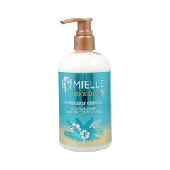 Кондиционер Mielle Moisture RX Hawaiian Ginger Leave-In Увлажняющее (355 ml) цена и информация | Бальзамы, кондиционеры | pigu.lt