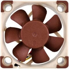 Noctua NF-A4x10 FLX цена и информация | Компьютерные вентиляторы | pigu.lt