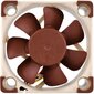 Noctua NF-A4x10 FLX цена и информация | Kompiuterių ventiliatoriai | pigu.lt