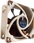 Noctua NF-A6x25 FLX цена и информация | Kompiuterių ventiliatoriai | pigu.lt