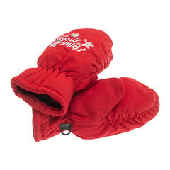 Детские непромокаемые перчатки 1NK-300111-04 цена и информация | Зимняя одежда для детей | pigu.lt