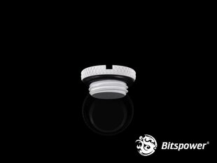 BitsPower Plug 1/4 "- White (BP-DWWP-C09) цена и информация | Водяное охлаждение - аксессуары | pigu.lt