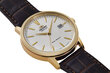Vyriškas laikrodis Orient Automatic RA-AC0F04S10B цена и информация | Vyriški laikrodžiai | pigu.lt