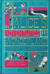 Alice's Adventures in Wonderland (MinaLima Edition): (Illustrated with Interactive Elements) цена и информация | Книги для подростков и молодежи | pigu.lt
