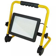 Prožektorius dirbtuvems 100W SMD LED, Economy, trikojis, IP65 kaina ir informacija | Mechaniniai įrankiai | pigu.lt