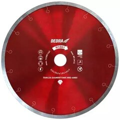 Deimantinis diskas kietai keramikai 110x22,2mm цена и информация | Шлифовальные машины | pigu.lt