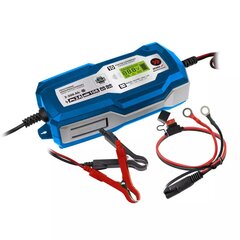 Mikroprocesorinis lygintuvas 10A,6V/12V, 3-200Ah,LCD LFP kaina ir informacija | Mechaniniai įrankiai | pigu.lt